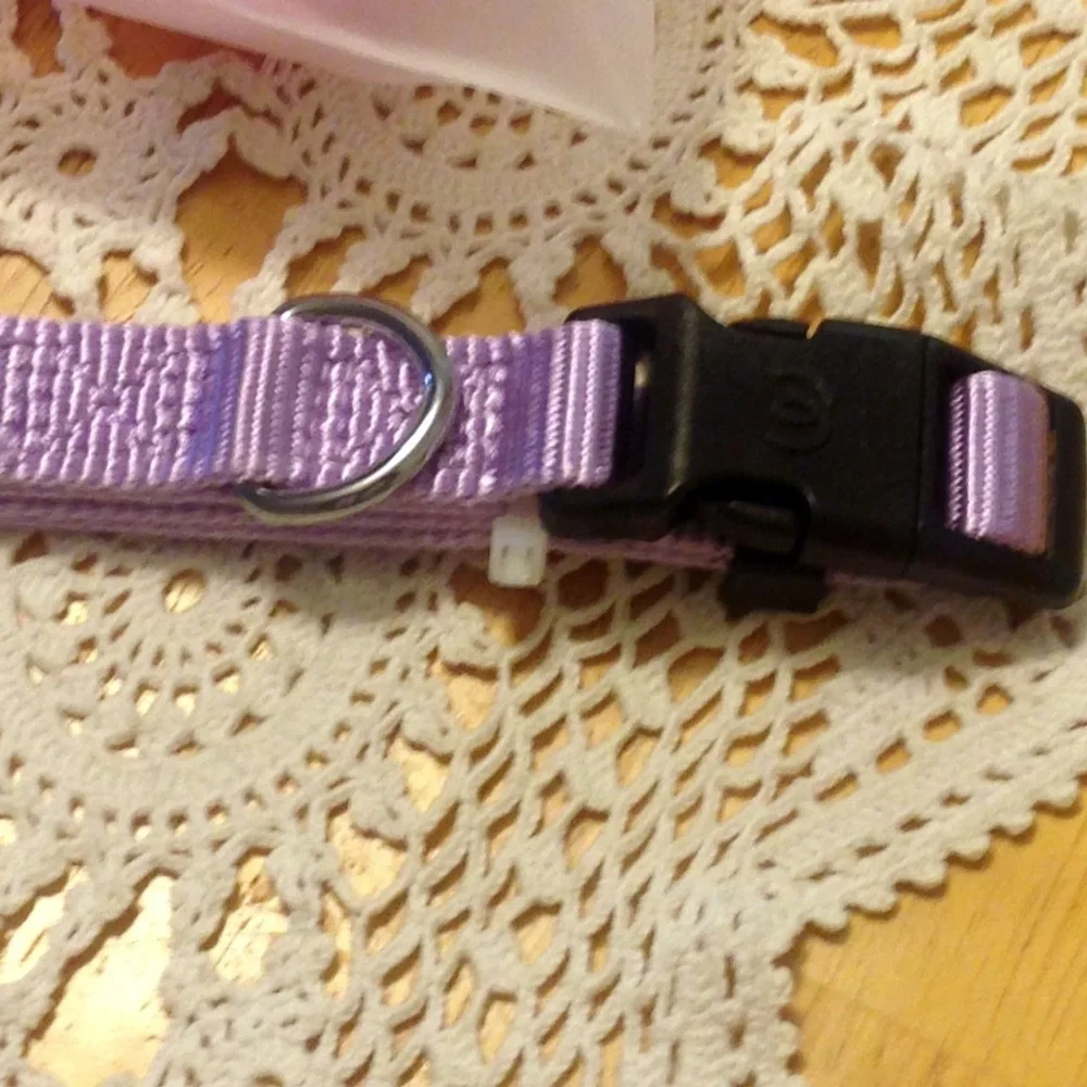 Dog Accessories, Small blueberry collar plus two doggie toothbrushes